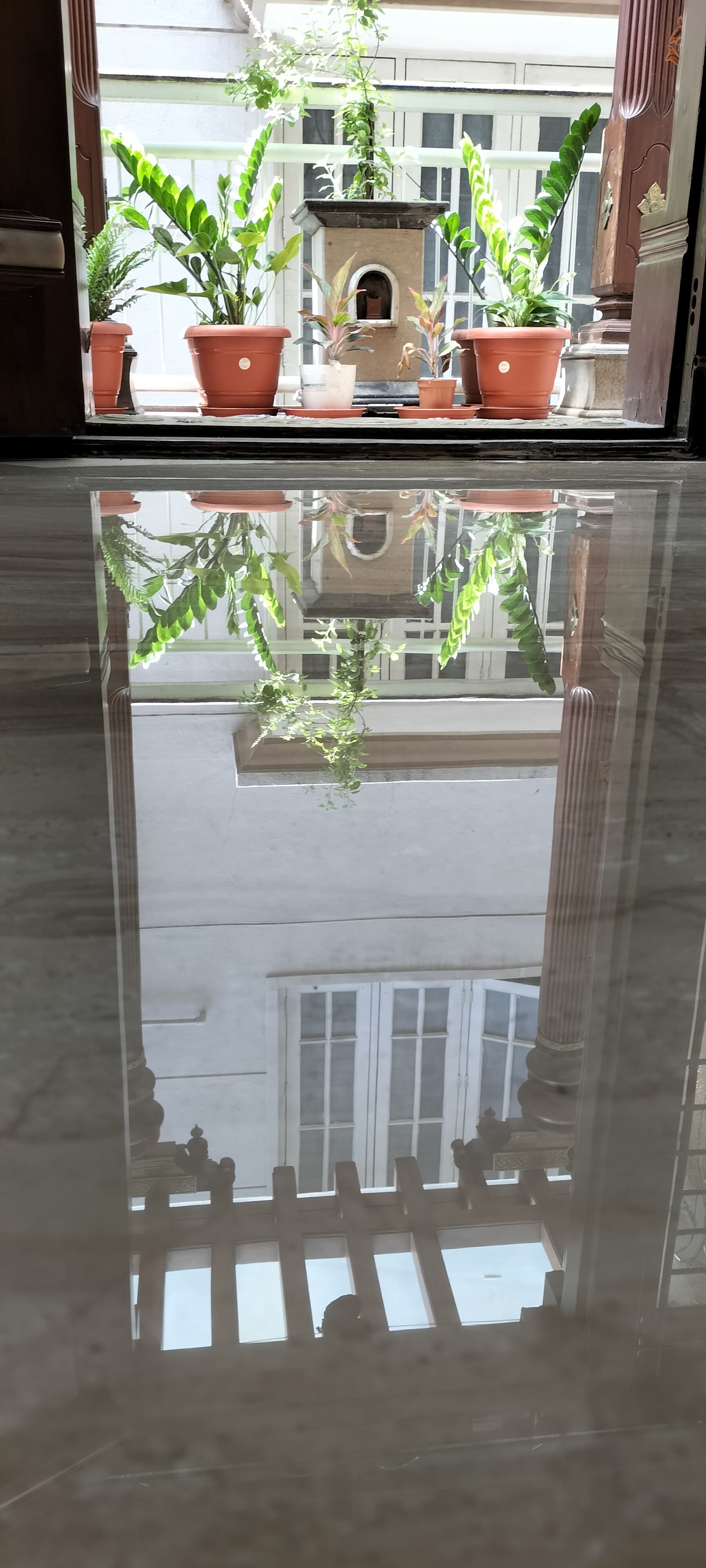 Potted plants and a stone shrine reflected on a highly polished, glossy indoor floor.